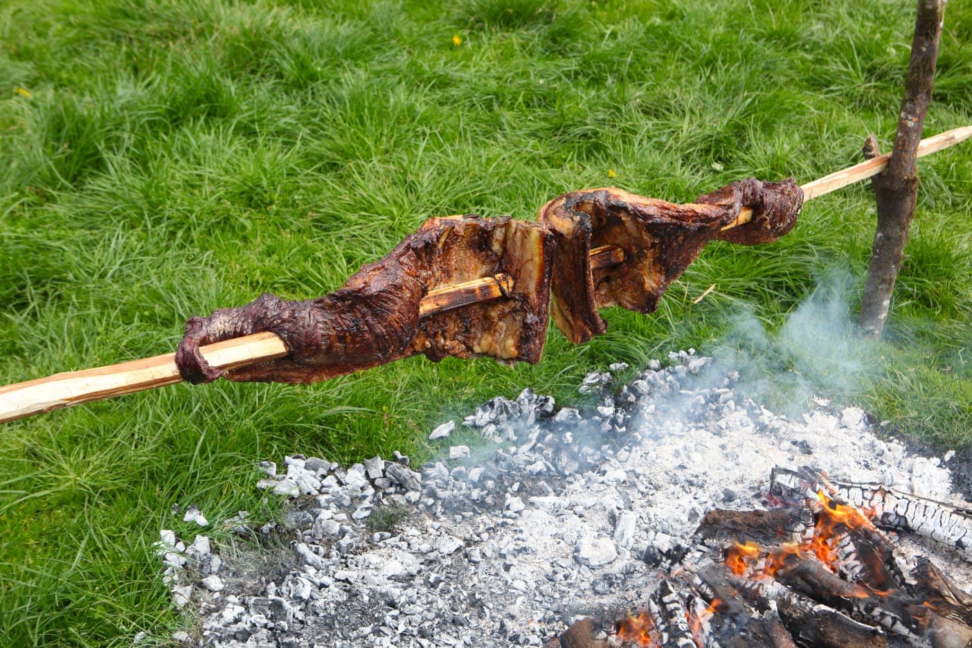 Carne al palo sobre brasas en el campo
