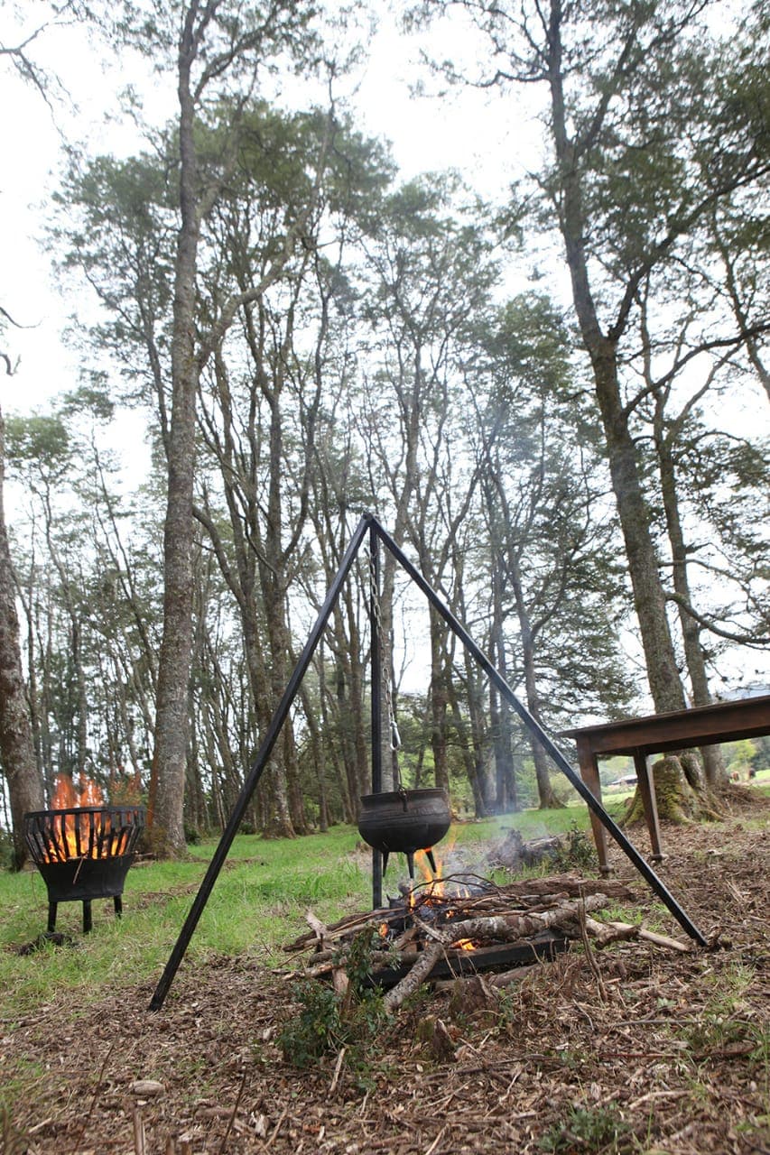 Trípode con olla sobre fuego en el bosque nativo